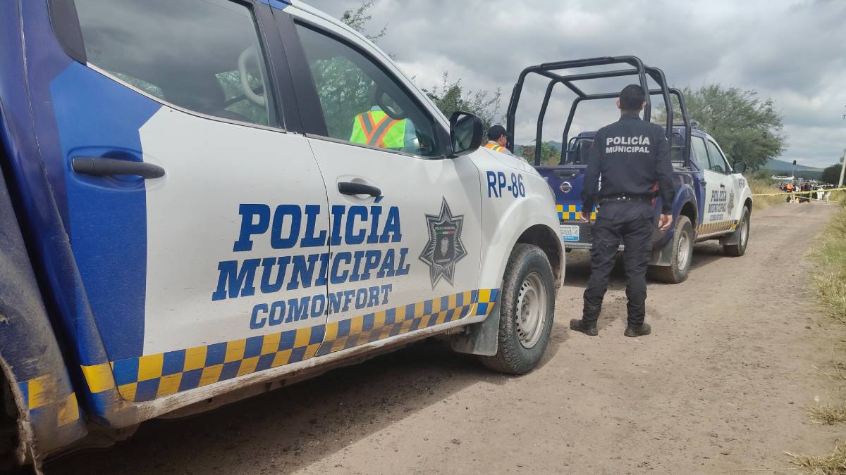 separos-de-comonfort