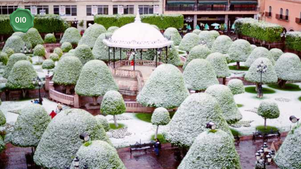 Nevada en León, 13 de diciembre de 1997