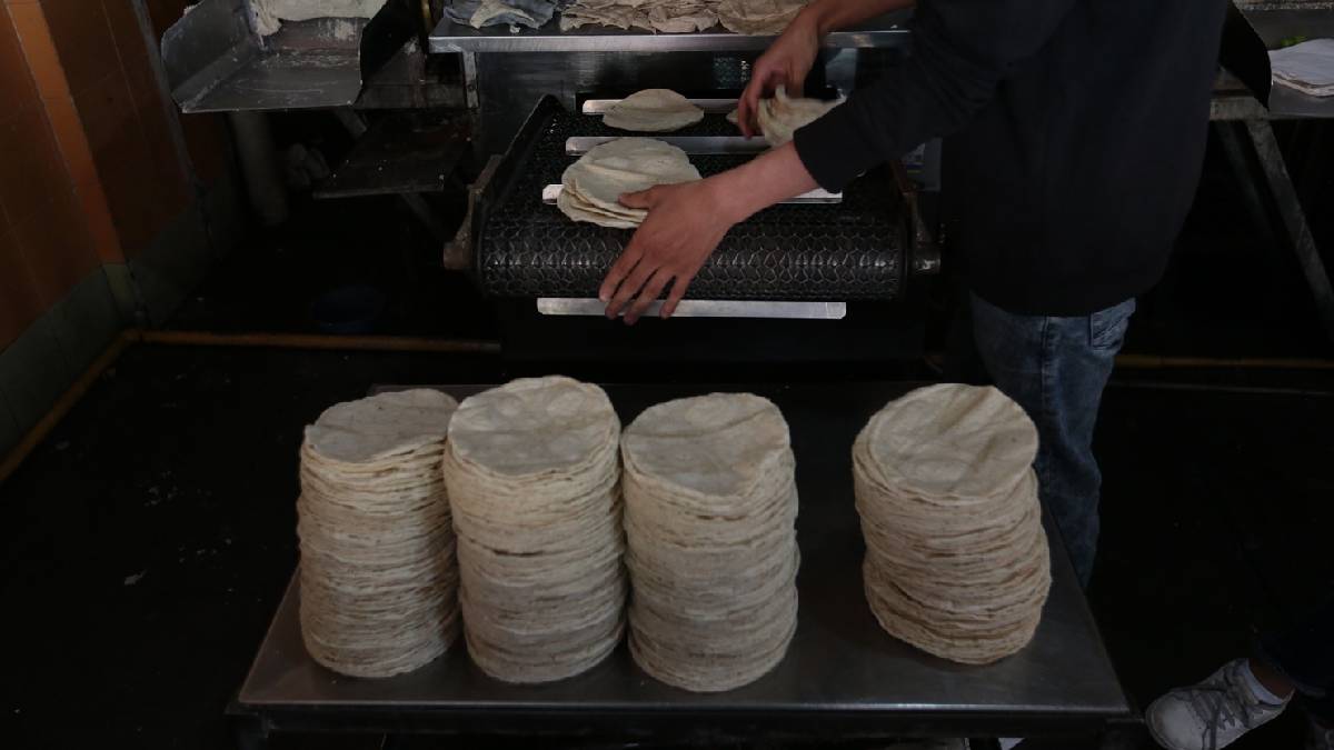 Ácido fólico en tortillas California