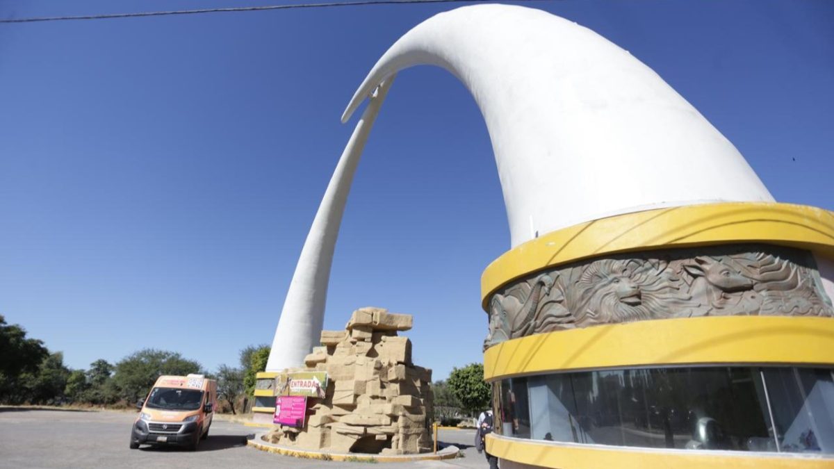 Cierre Zoológico 10