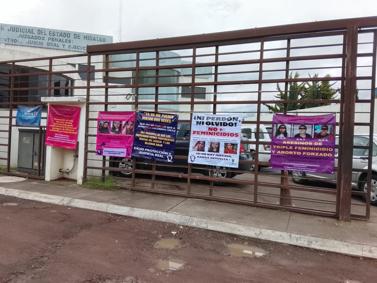 Colectiva Mujeres del Tule iniciará 2026 con talleres gratuitos