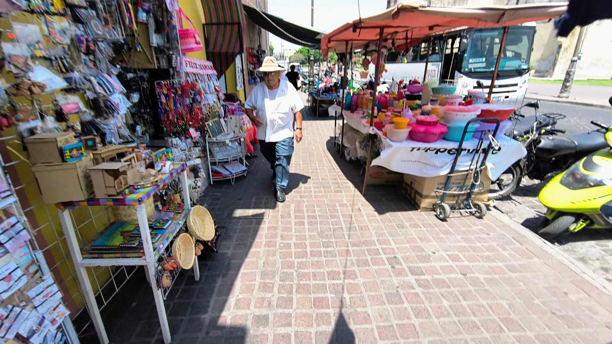 Comercio en Guanajuato sur