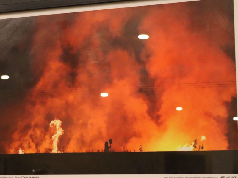 Copa Mundial de Fotografía Universitaria 2025 (1)