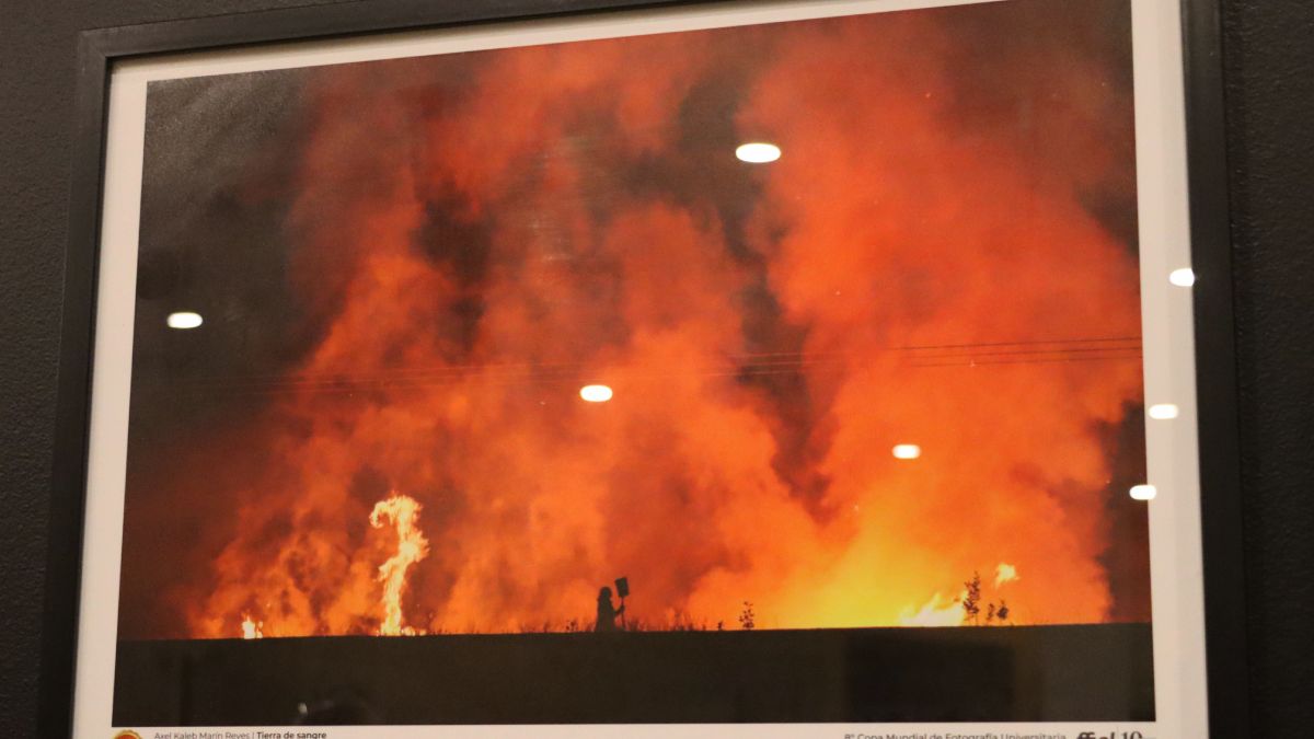 Copa Mundial de Fotografía Universitaria 2025 (1)