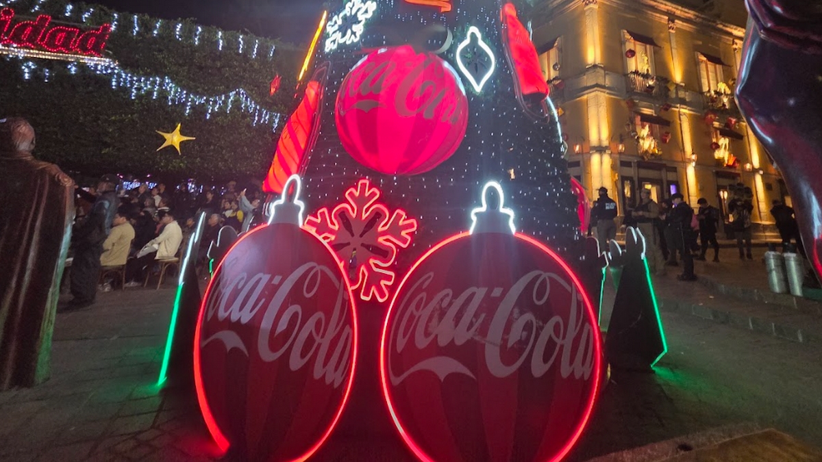 Desacato al INAH en Guanajuato por árbol patrocinado