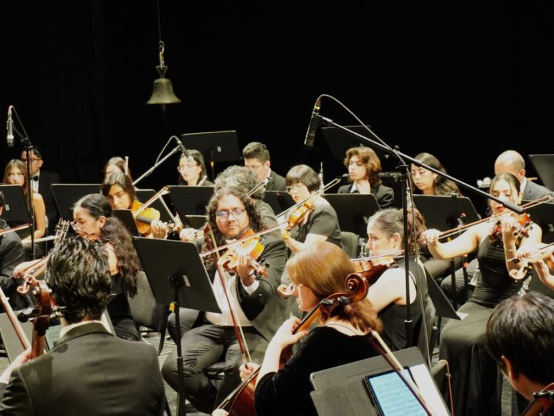 Evento musical “Una odisea musical y el lago de los cisnes” (1)