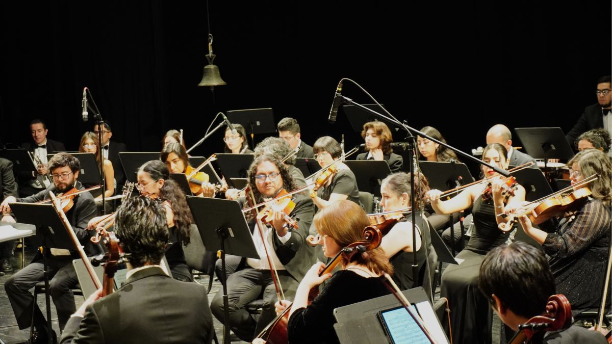 Evento musical “Una odisea musical y el lago de los cisnes” (1)