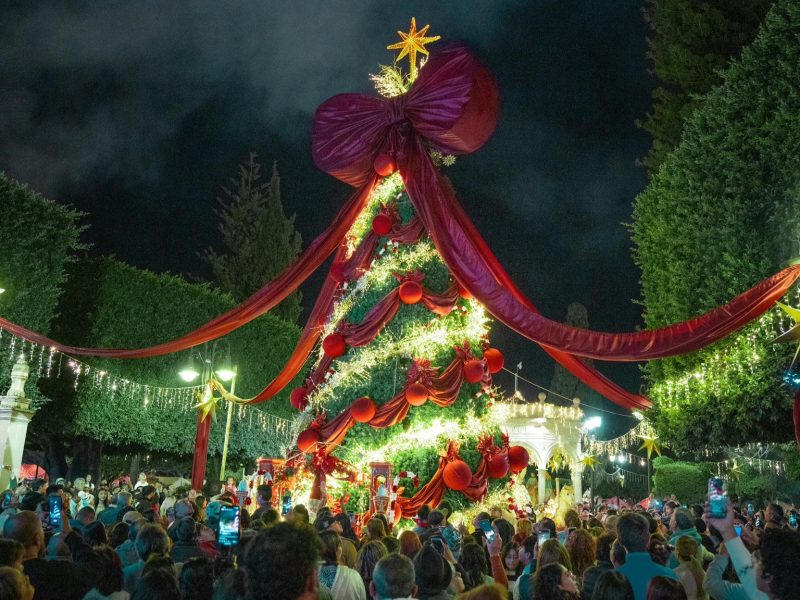 Festival Navilandia de Moroleón