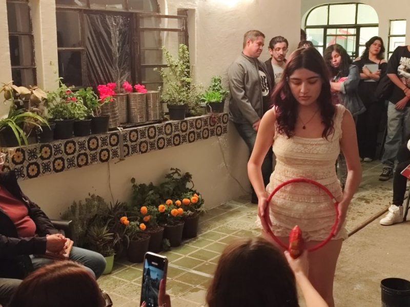 Jornada artística Colectivo Perro Pateado