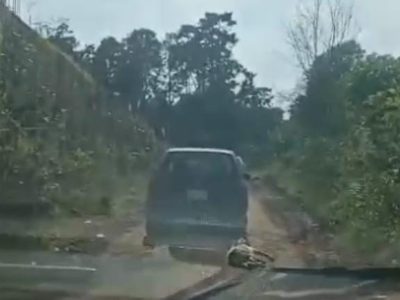 Denuncian a responsable de arrastrar un perrito en Hidalgo