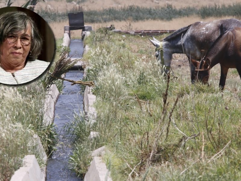 Consigue ministra concesión de agua en Guanajuato cuando era directora de Sedatu