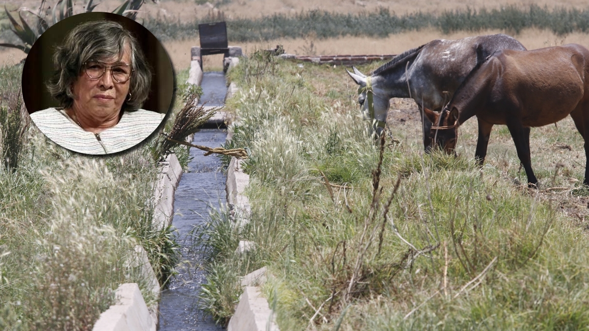 Concesión de agua en Guanajuato