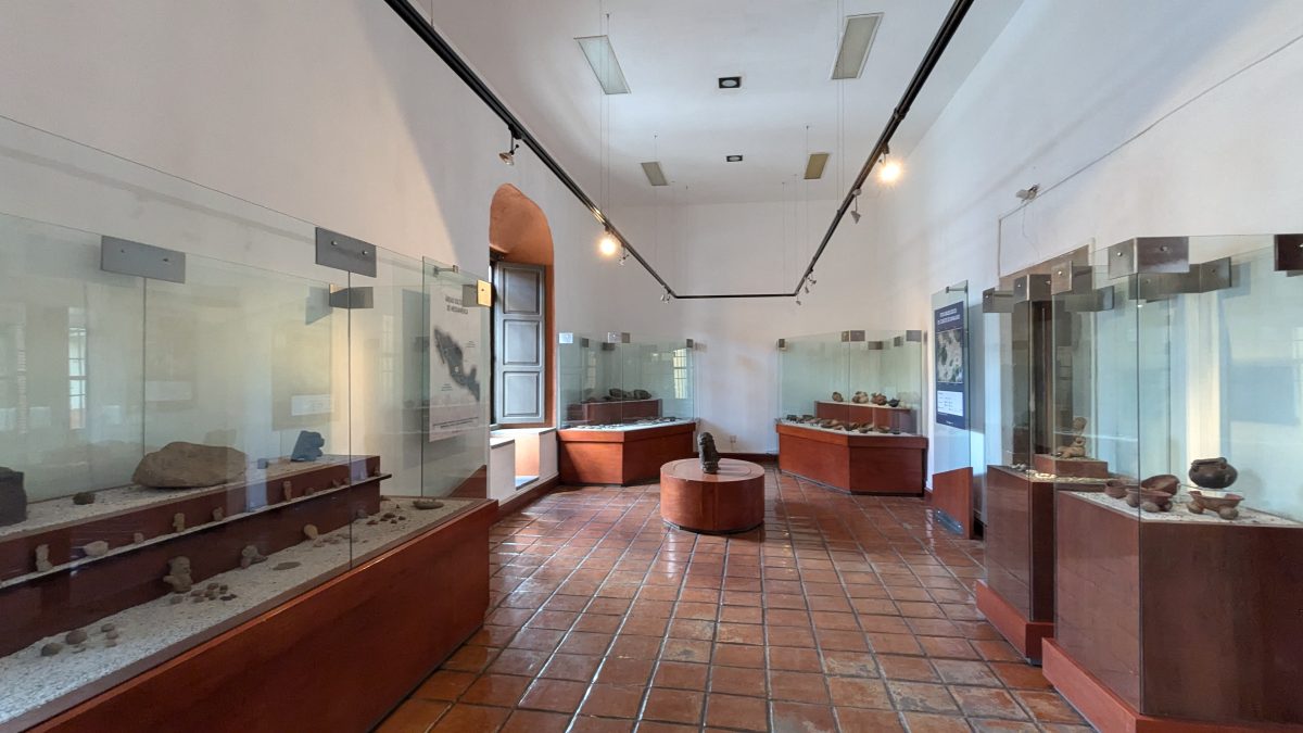 Museo Salvador Almaraz