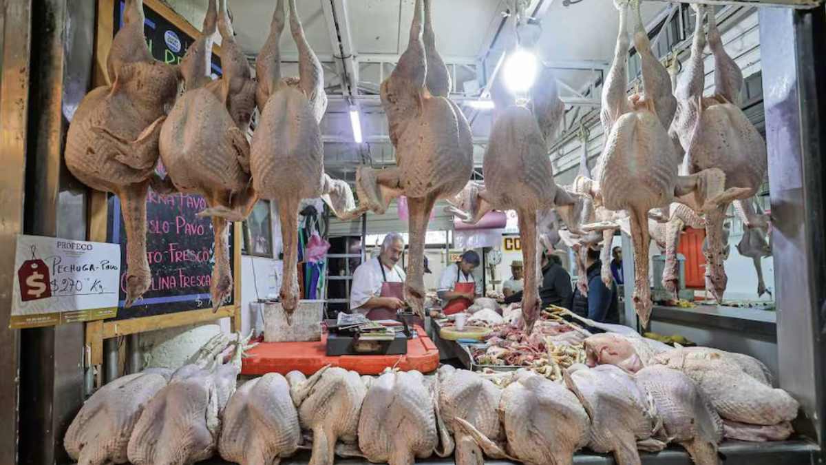 Precio del kilo de pavo