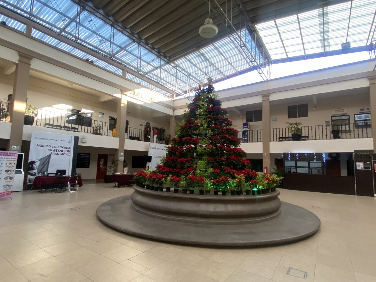 Predial 2026 en Celaya: Conoce los descuentos en cajas y medios electrónicos