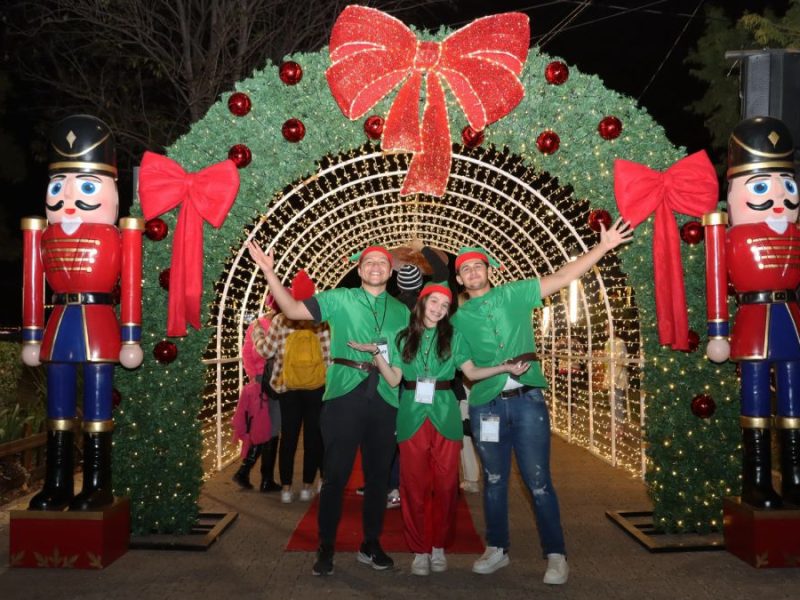 Programa “Vive Navidad Vive León”