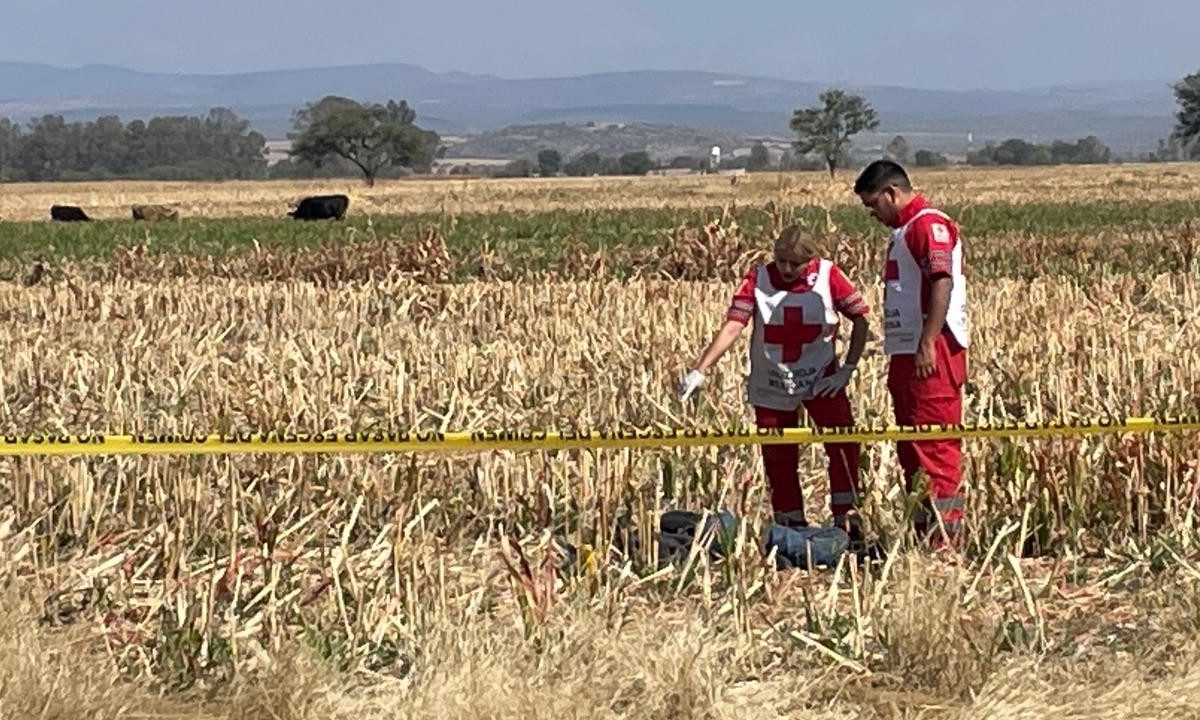 Purísima de Temascatío 02