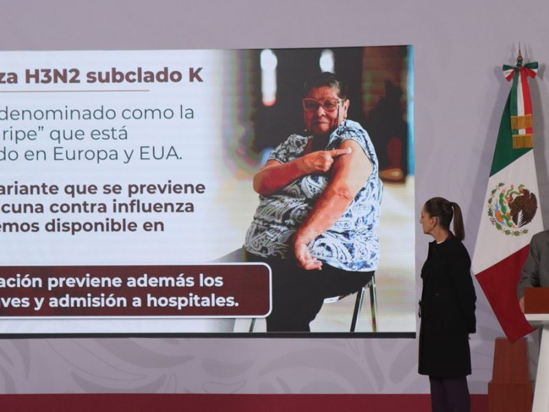 Influenza H3N2 en México