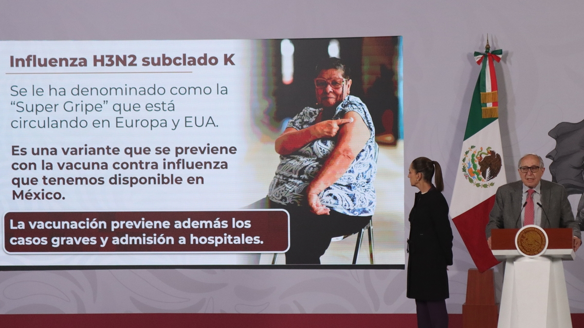 Influenza H3N2 en México