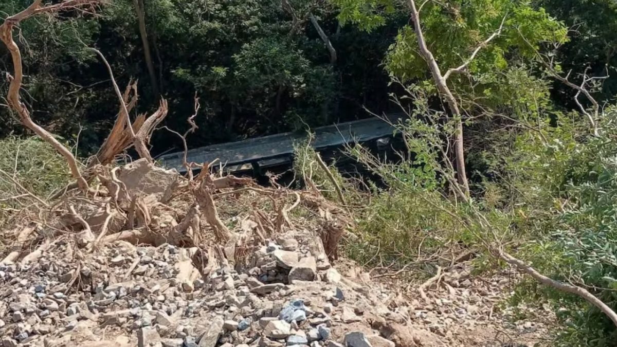 Tren Interoceanico 03