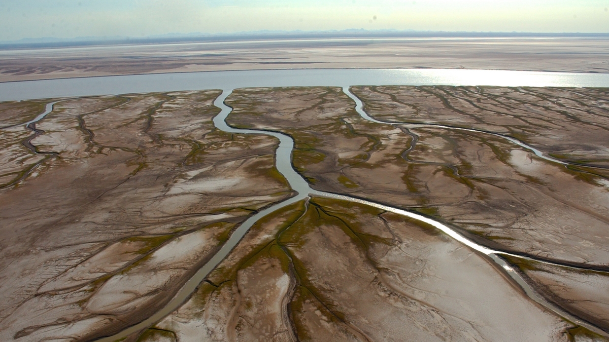 Crisis por el agua en EU
