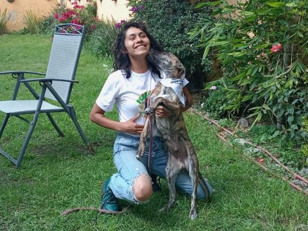 Se desploman adopciones caninas en Pachuca. Urgen hogares