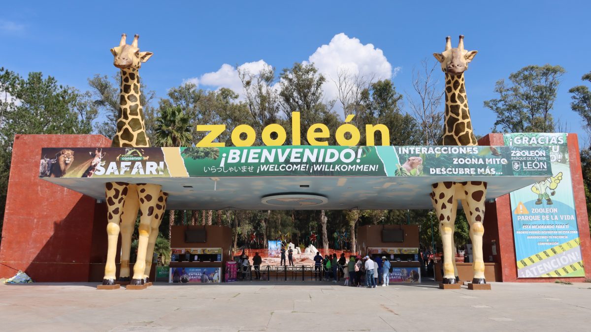 Zoo (1)