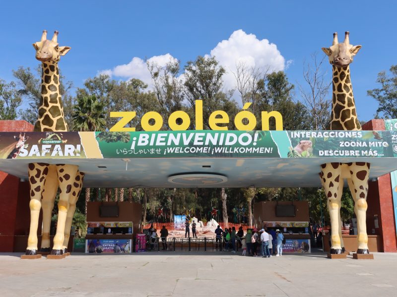 Zoo (1)