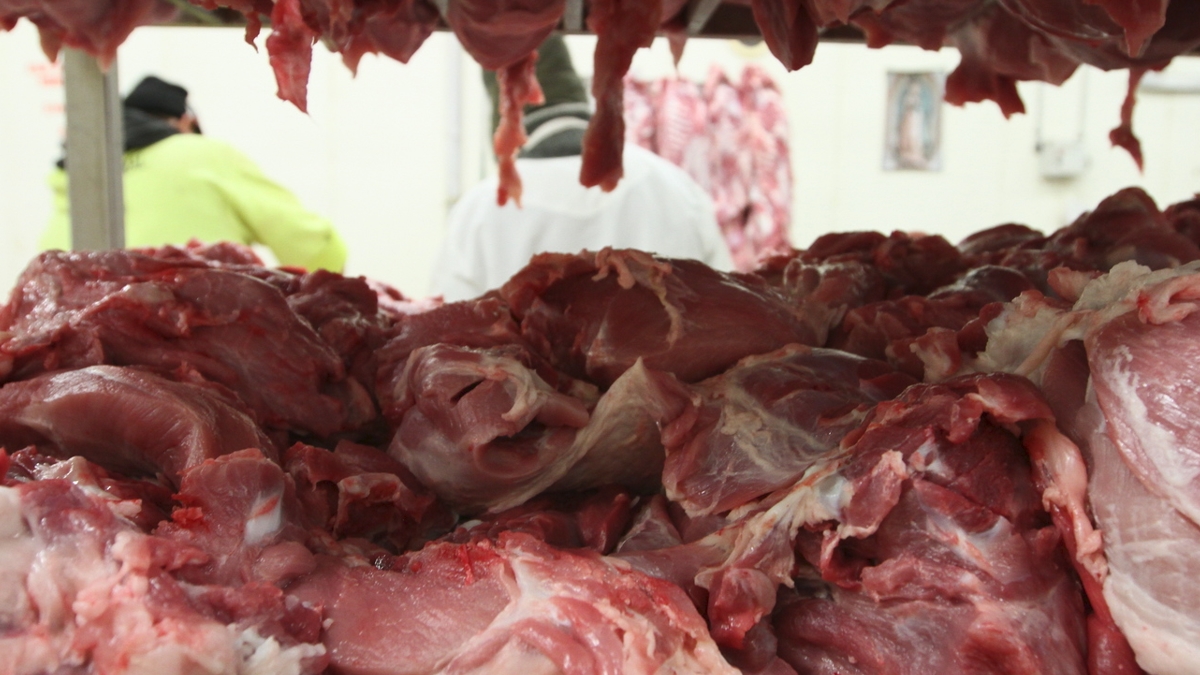 Antidumping a importación de cerdo de EU