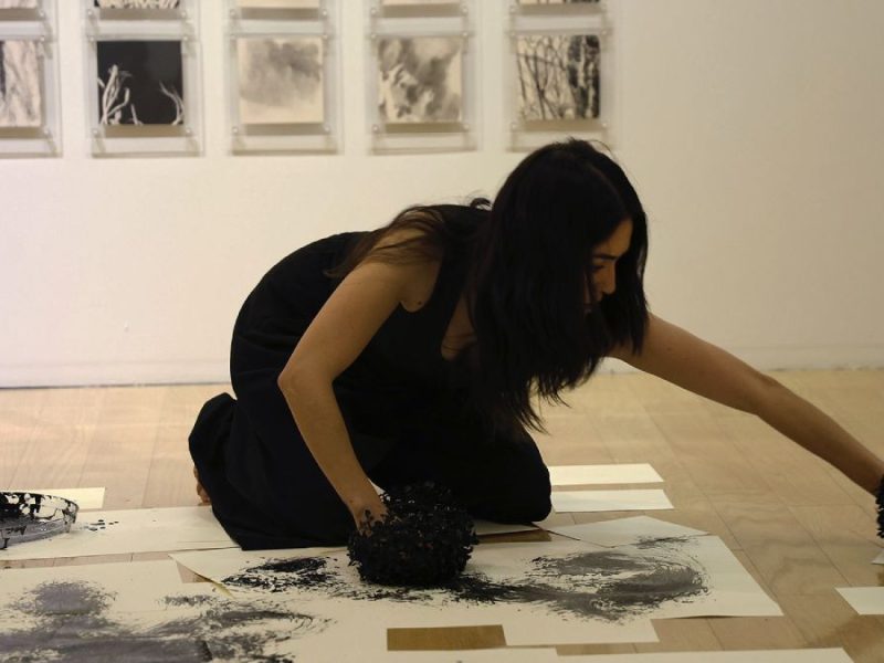 “Explorar es un concepto abierto”: La mirada ecosófica de la artista Palmira Páramo