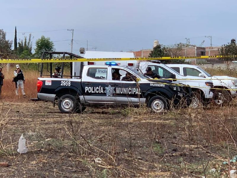 atacado-perros-salvatierra