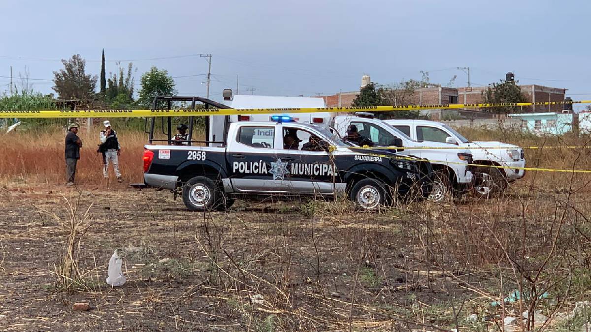 atacado-perros-salvatierra