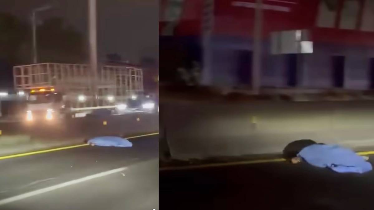 atropellado-leon-silao