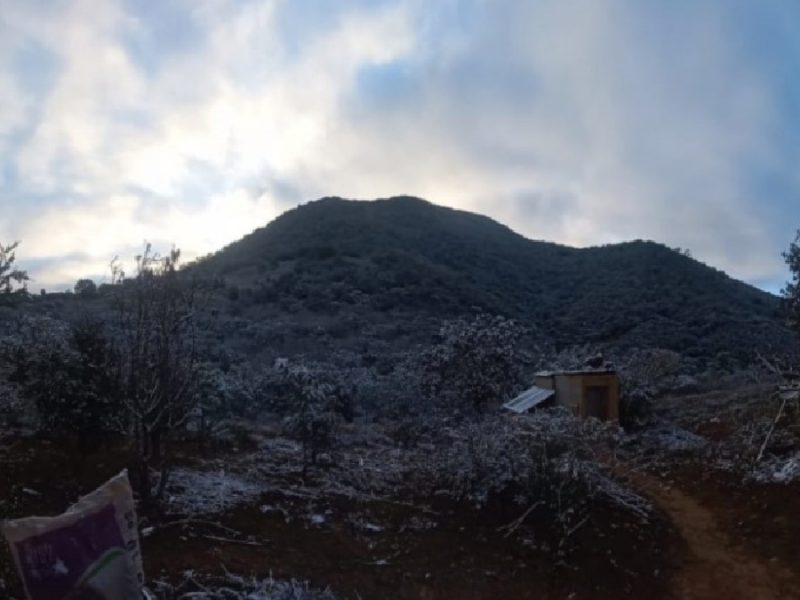 Alertan por heladas y ráfagas de viento en varios municipios de Guanajuato