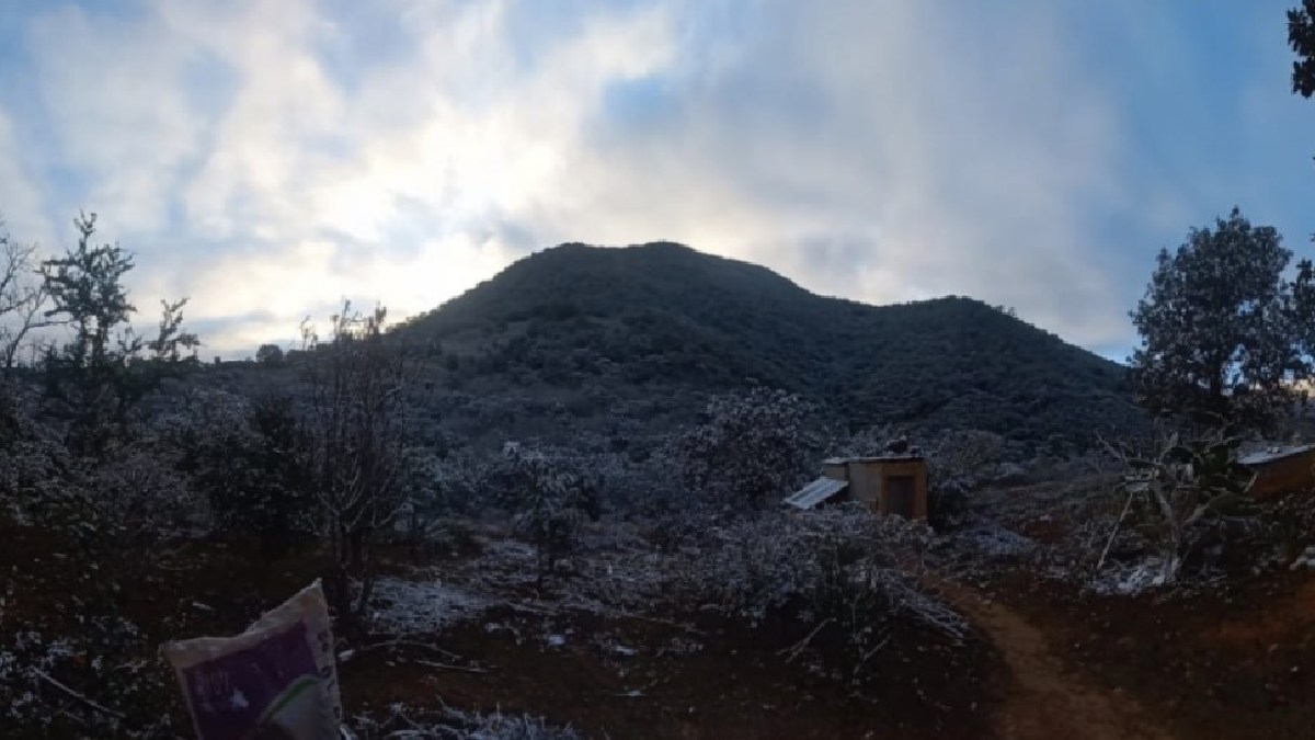 bajas temperaturas gto