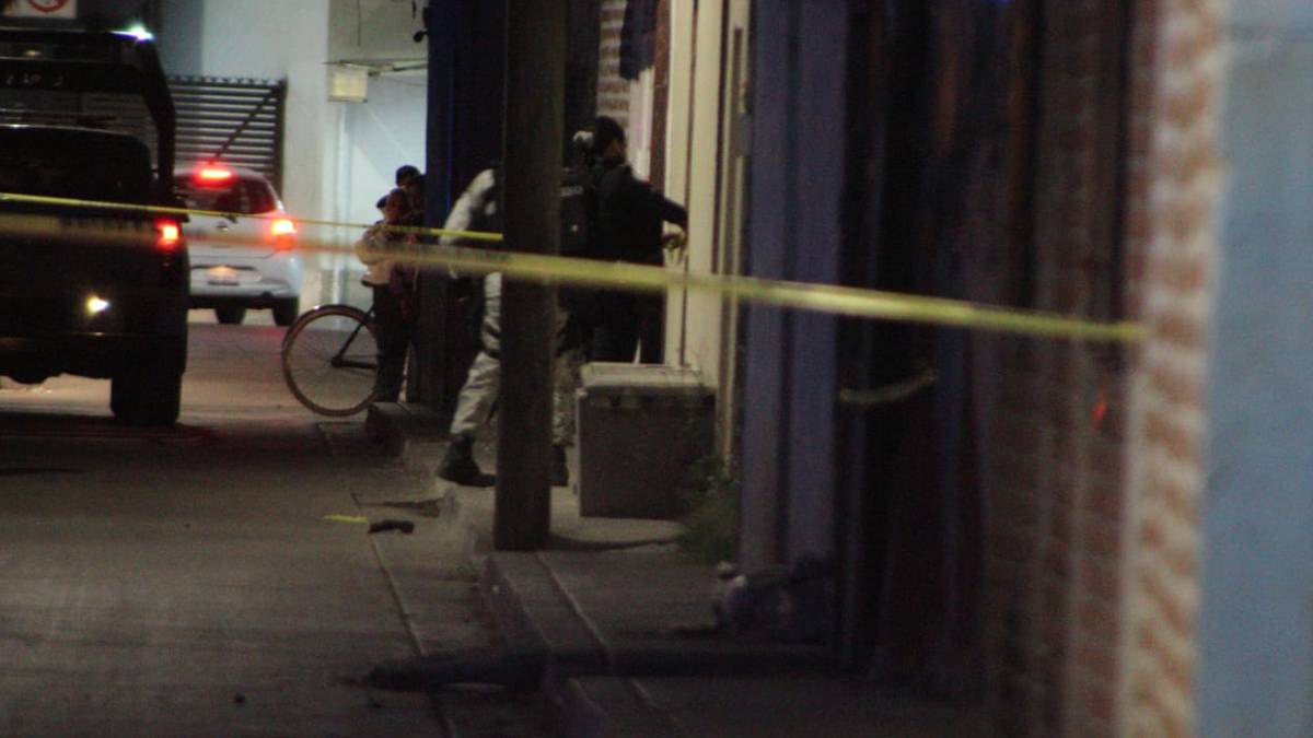 colonia-bosques-león