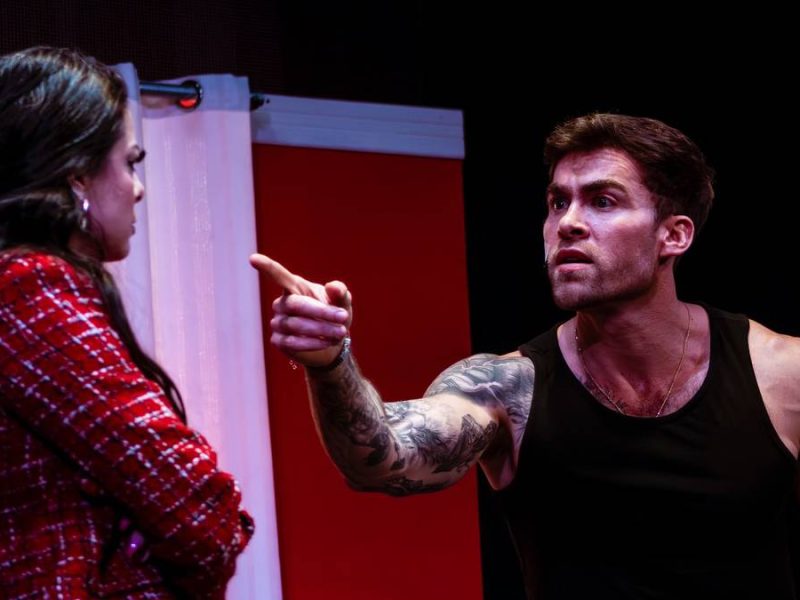 David Ortega obra Crisis para principiantes