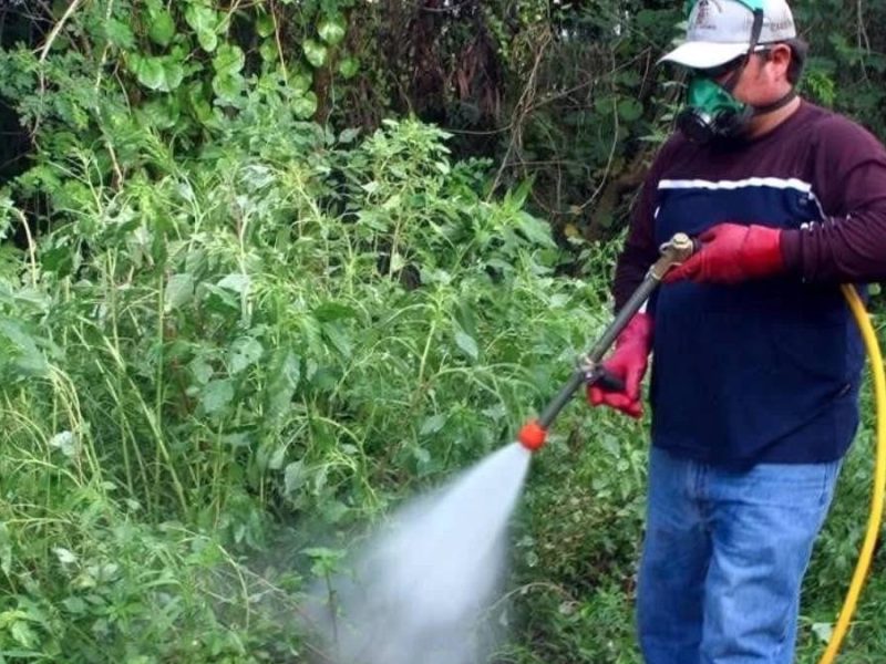 Economía mexicana apenas crece 0.29% en 2025; alertan por riesgos de nuevos aranceles