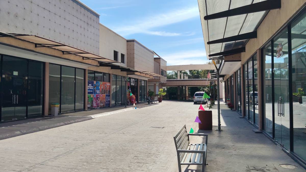 expo-navideña-calzado