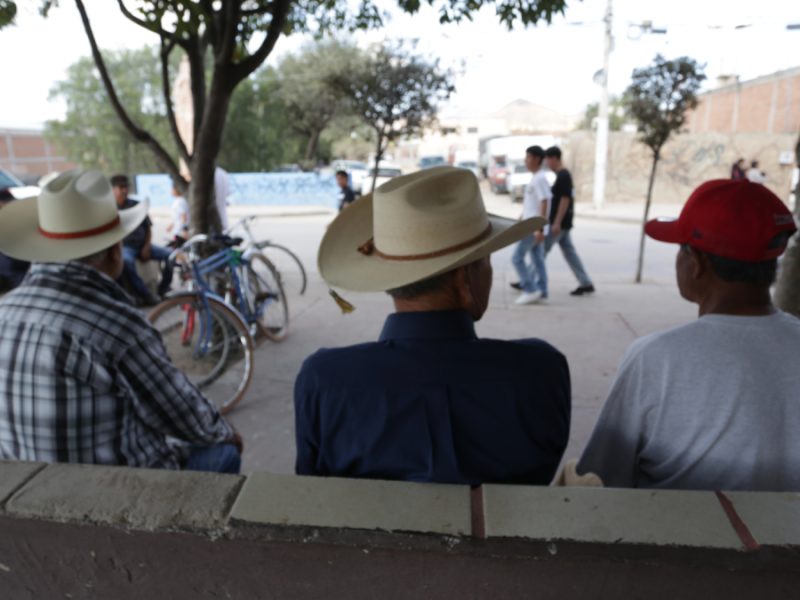 migrantes no regresan por inseguridad en carreteras