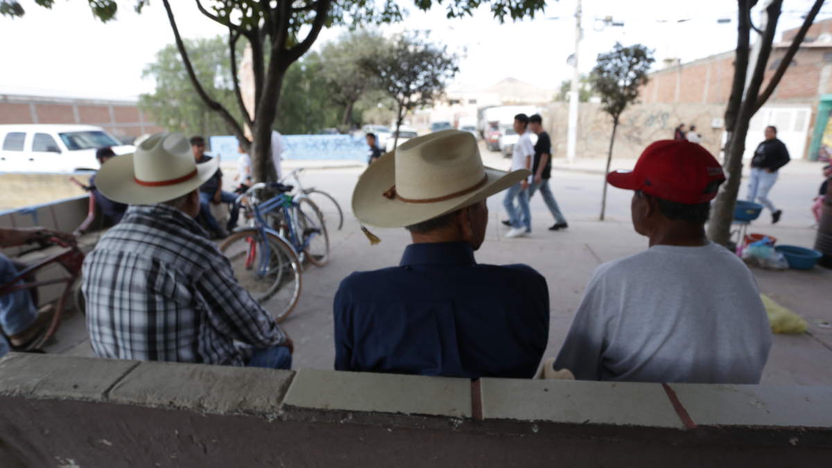 migrantes no regresan por inseguridad en carreteras