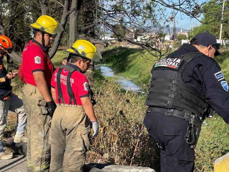 hallazgo en Irapuato