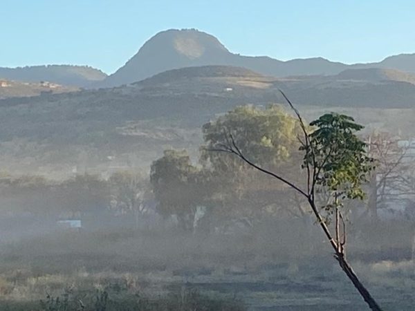 Reportan heladas en algunos municipios de Guanajuato