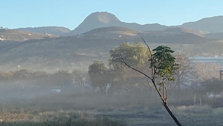 heladas municipios gto
