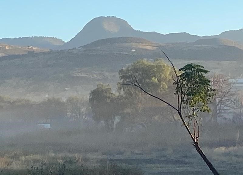 heladas municipios gto