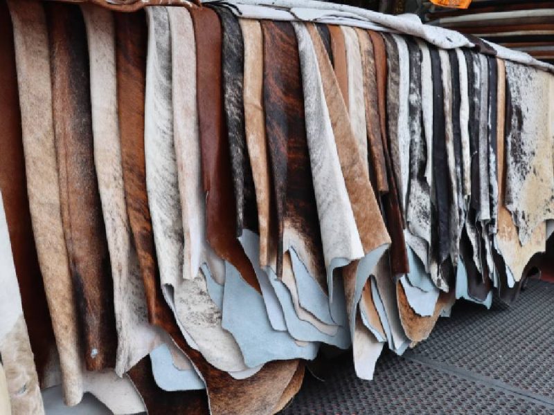 industria-curtidora-en-guanajuato