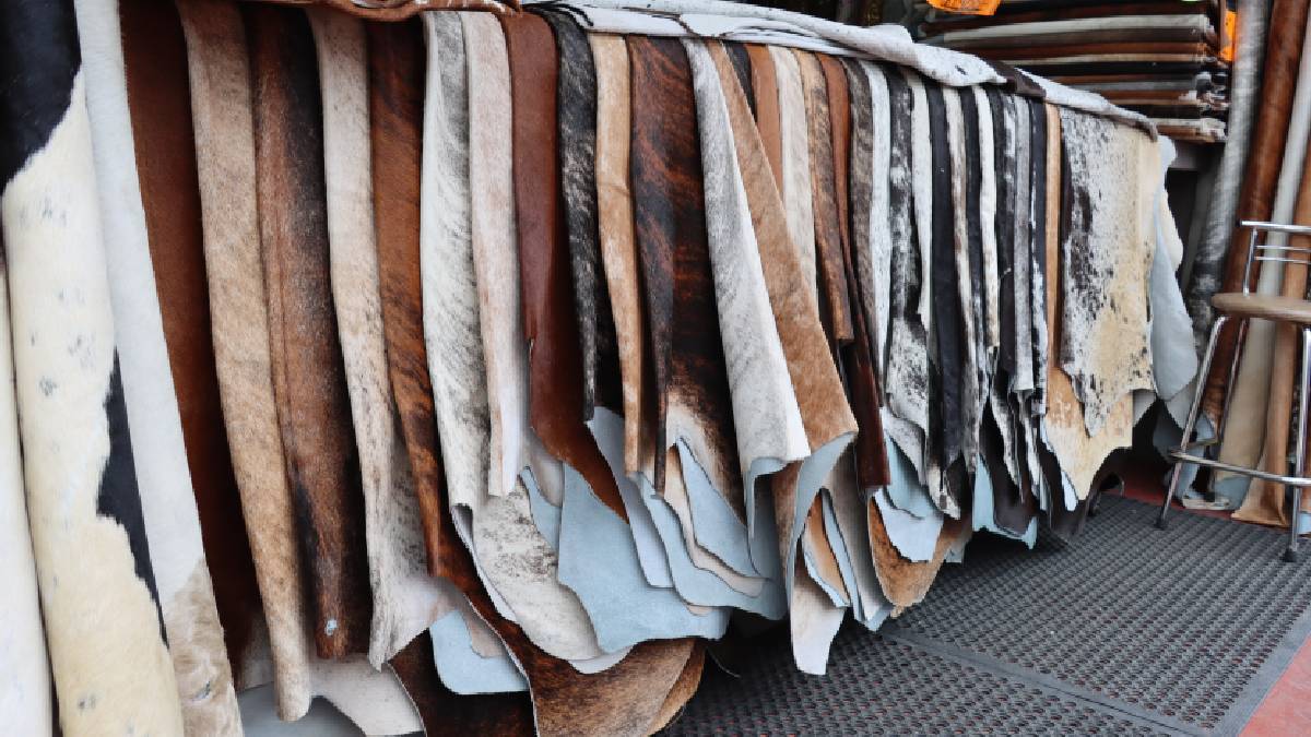 industria-curtidora-en-guanajuato