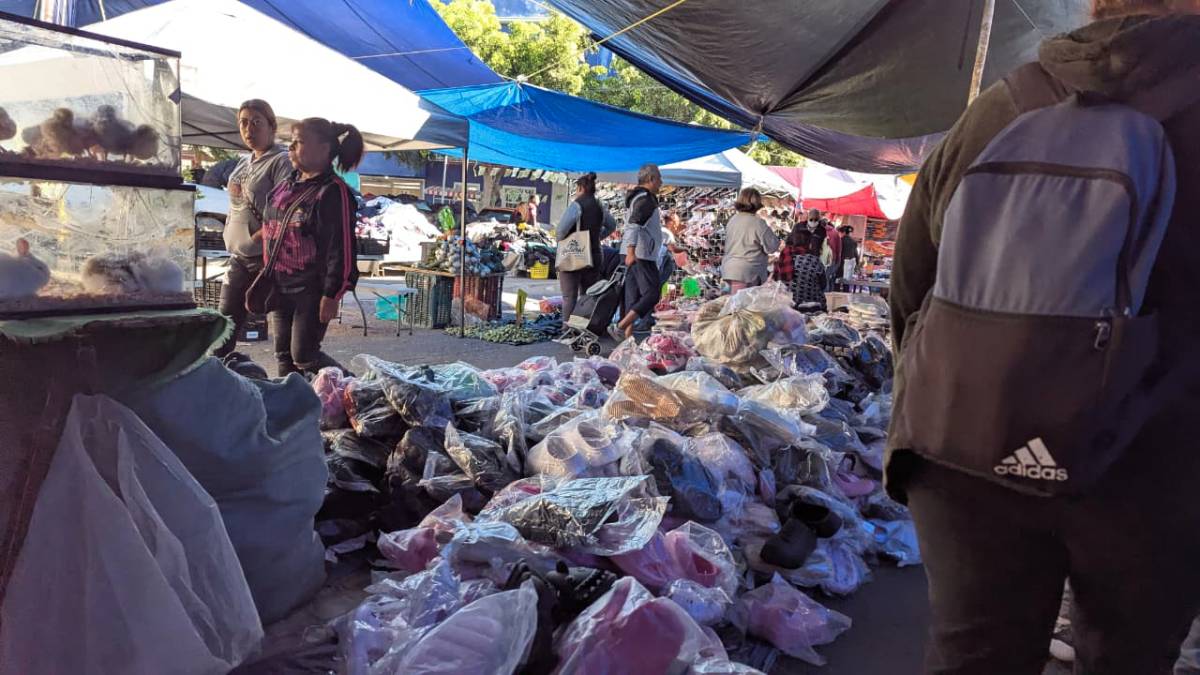 informalidad-en-guanajuato