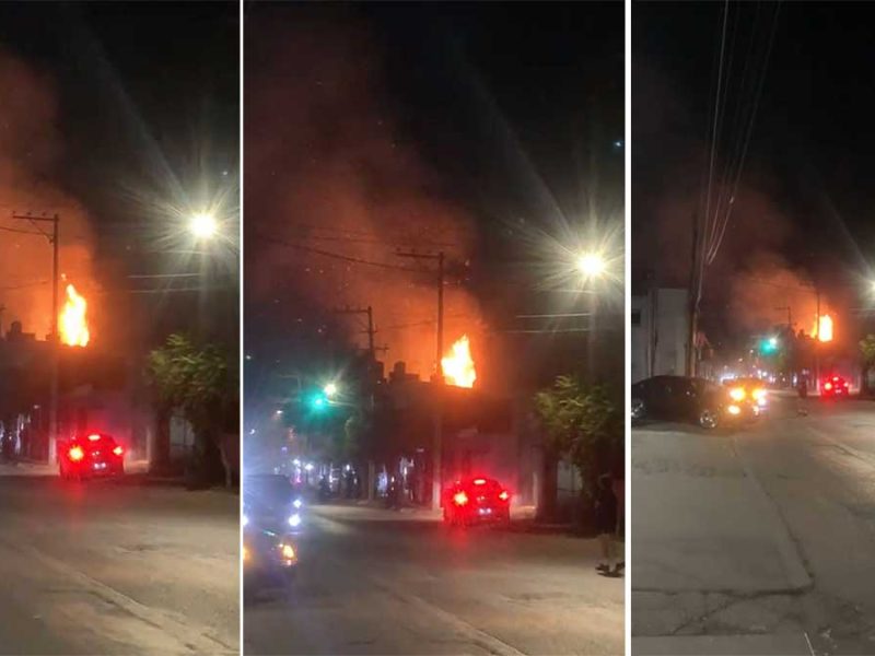 Llamas de 15 metros en Irapuato: Se incendia árbol en fraccionamiento San Miguelito