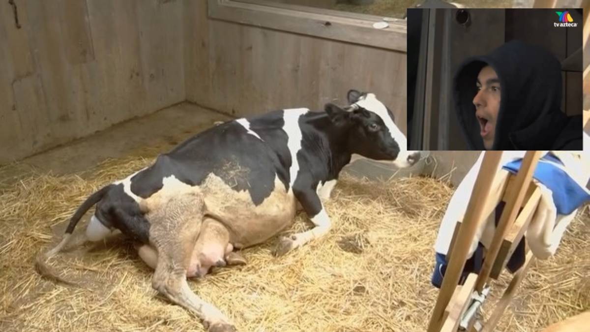 jacinta dio a luz en La Granja VIP